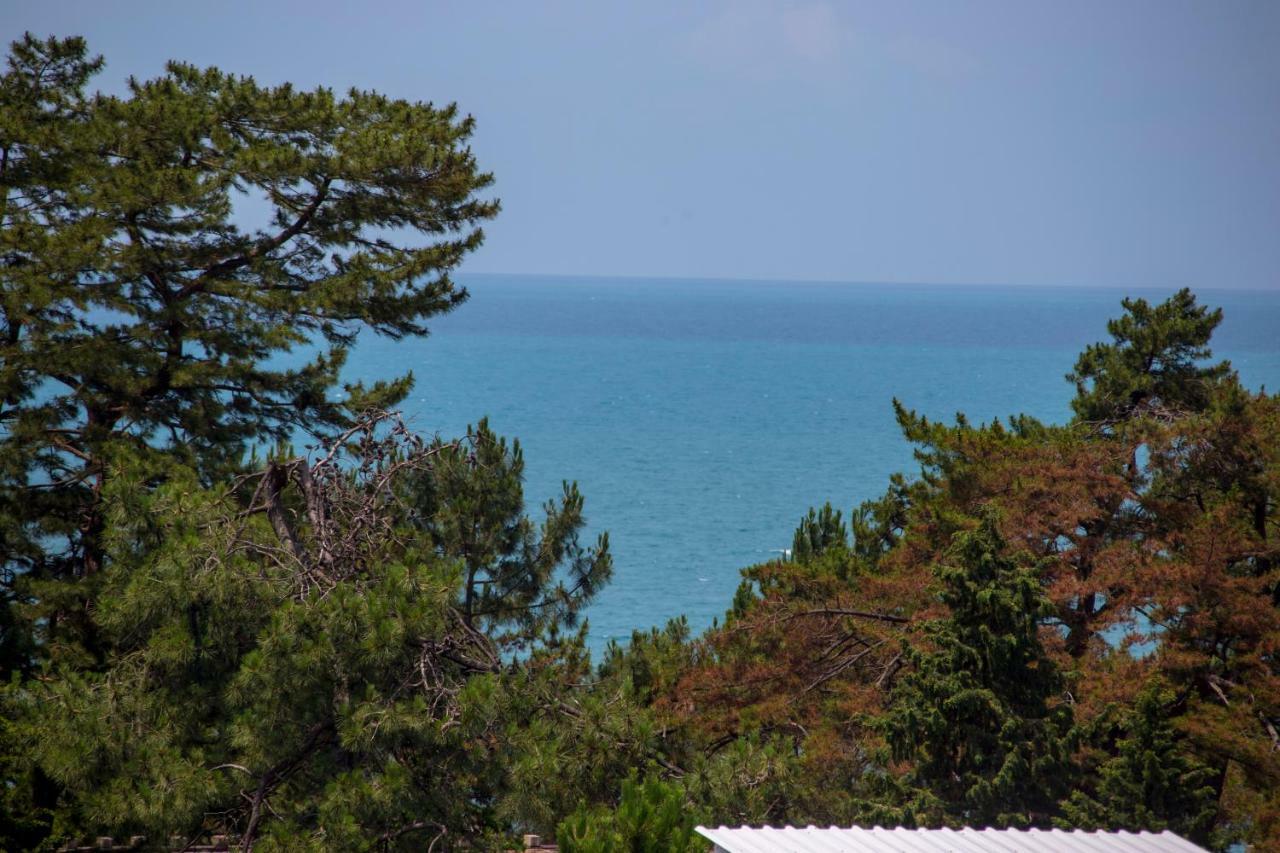 Chveni Ezo Boutique Hotel Kobuleti Esterno foto